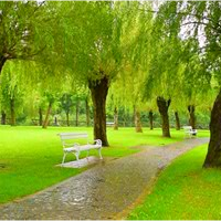 park